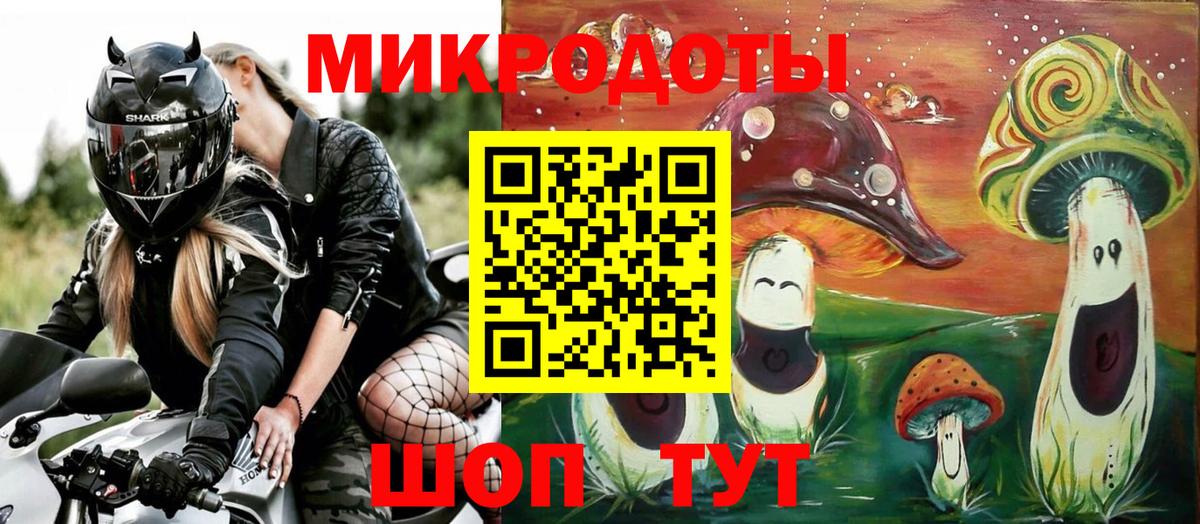 Псилоцибиновые грибы Cubensis Саянск